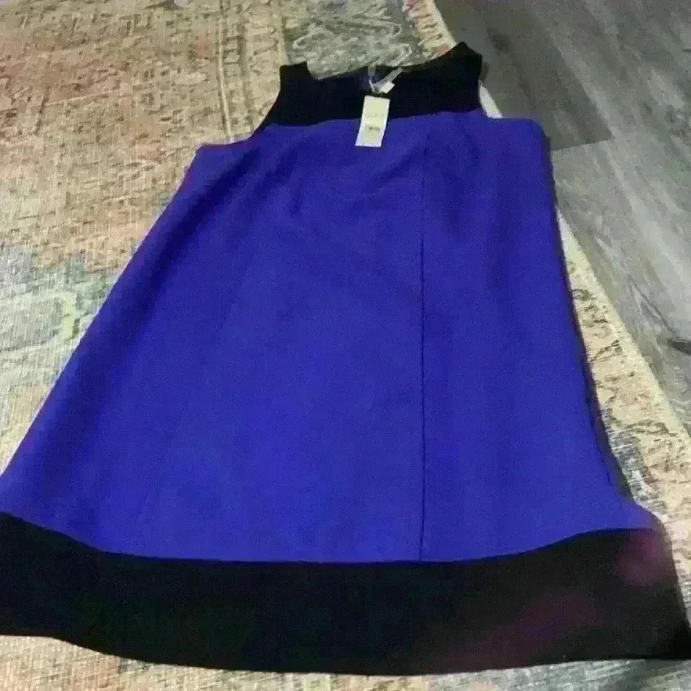 loft gorgeous dress